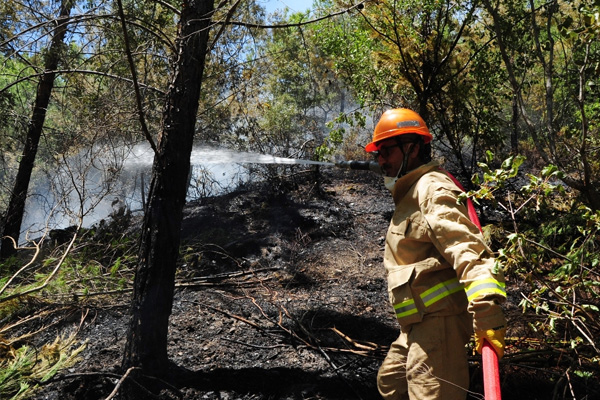 Alanya’daki orman yangını kontrol altında