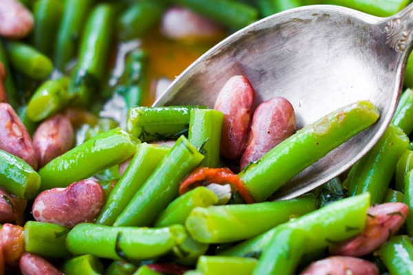 Vegan çiftin bebekleri ellerinden alındı!