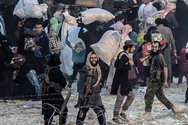 Daily Telegraph: Erdoğan'ın Esed nefreti IŞİD'e...