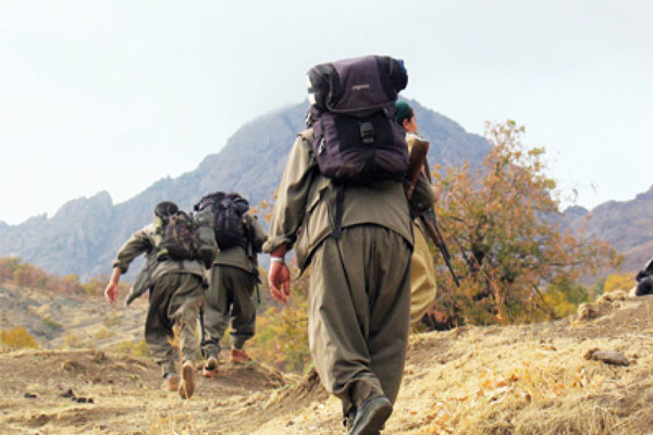 Şemdinli'de iki PKK'lı teslim oldu