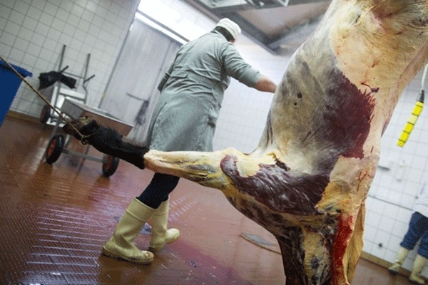 İzmir'de at eti skandalı