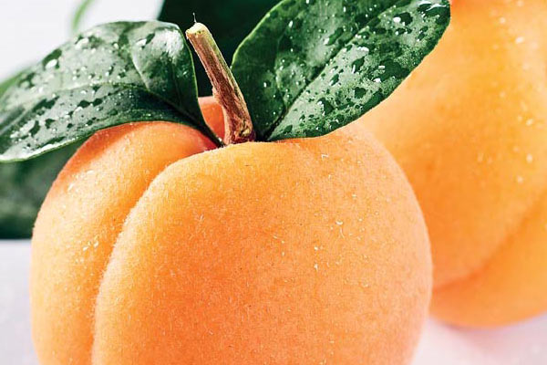 İftar sofralarının şifa kaynağı