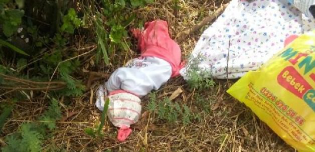 Minik bebek tarlaya terk edildi
