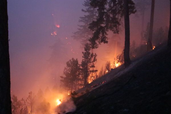 Kanada'da yine orman yangınları