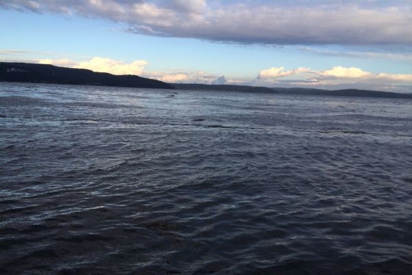 Yük gemisi boğazda karaya oturdu