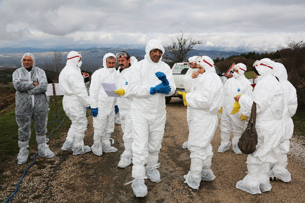 İstanbul’da ’kuş gribi’ alarmı