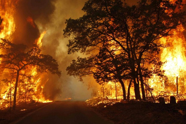 Kanada'da yangın: 3 eyalete yayıldı