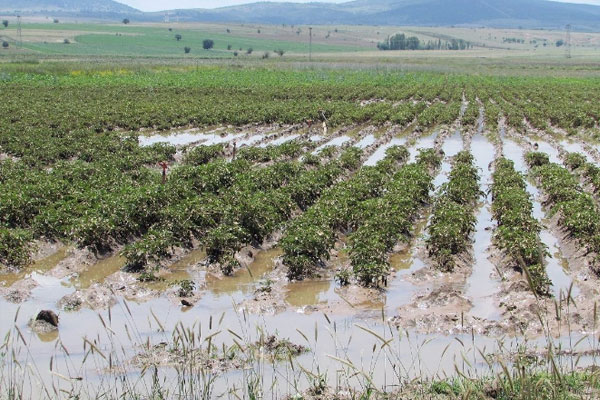 Baraj patlayınca araziler suya gömüldü