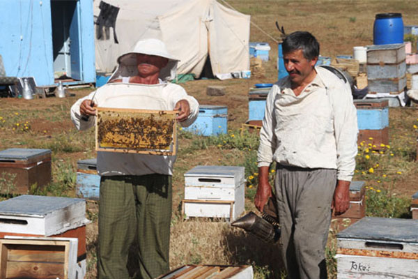 'Çözüm Süreci' arıcılara yaradı