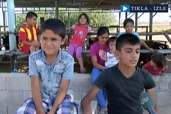 Sınırın çocukları IŞİD’i anlattı