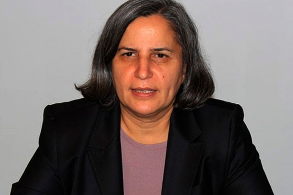 Kışanak'tan kritik başvuru