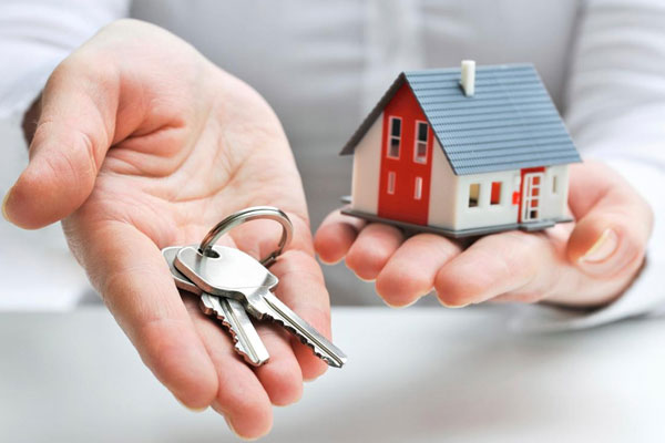 Arazi fiyatlarını duyan emlakçı olmaya karar verdi