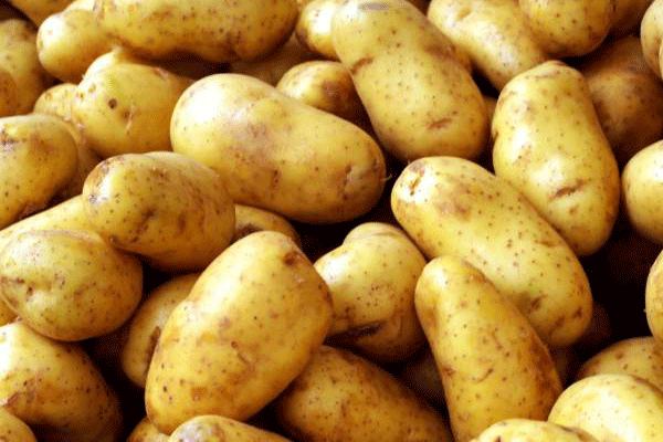 Suriye'ye ihracatta tarihi adım