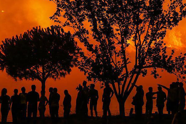 İzmir'de ağaçlık alanda yangın
