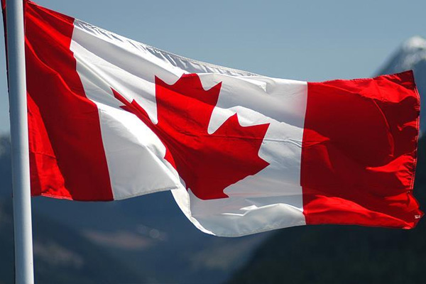 Göçmenlerin başlattığı açlık grevi 14. gününde