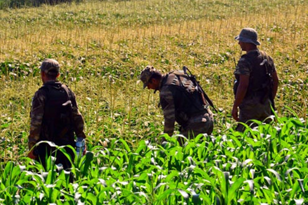 Darbeci askerlerin fotoğrafları acil koduyla dağıtıldı