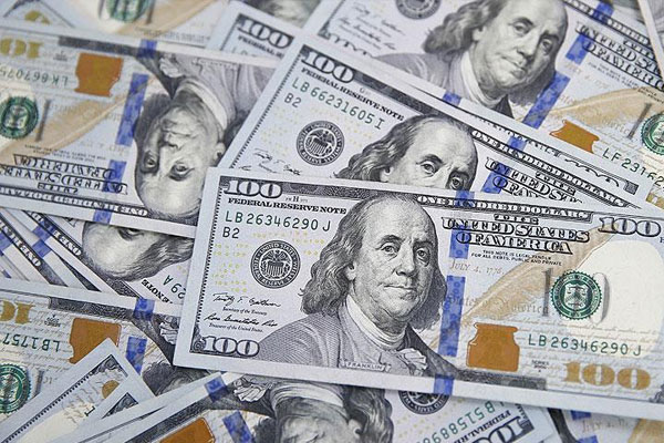 Vatandaş dolar darbesini de durdurdu