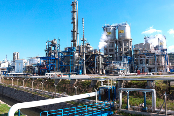 PETKİM'e FETÖ operasyonu