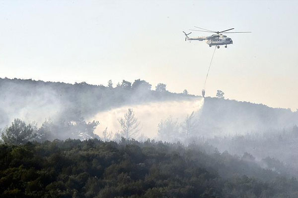 İzmir'de orman yangını
