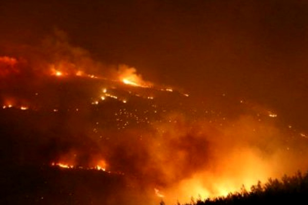 200 dönüm orman kül oldu