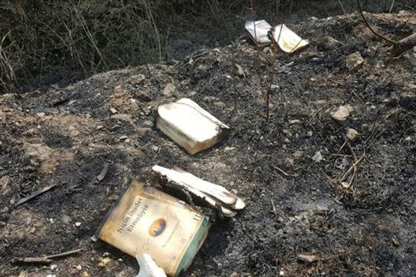 Gülen'in kitaplarını yakarken, ormanı yaktılar