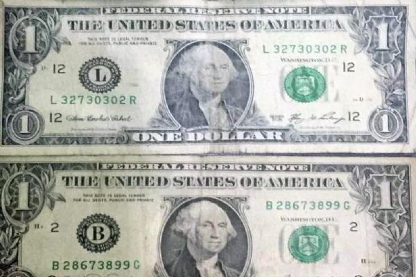 Malatya'da her yerden '1 Dolar' çıktı