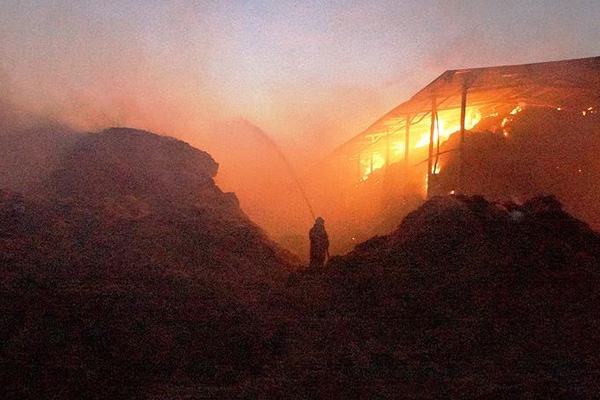 Ankara’daki çiftlik yangınında büyük hasar