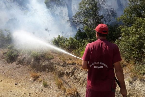 Balıkesir'de orman yangını sürüyor