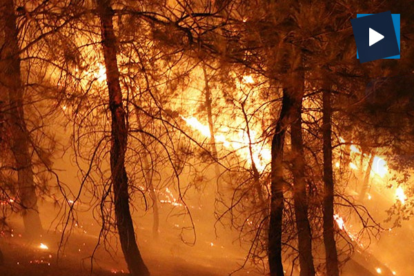 Kazdağları eteklerinde orman yangını