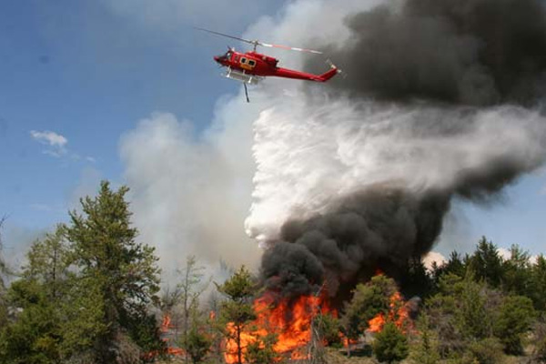 İstanbul Kartal'da orman yangını