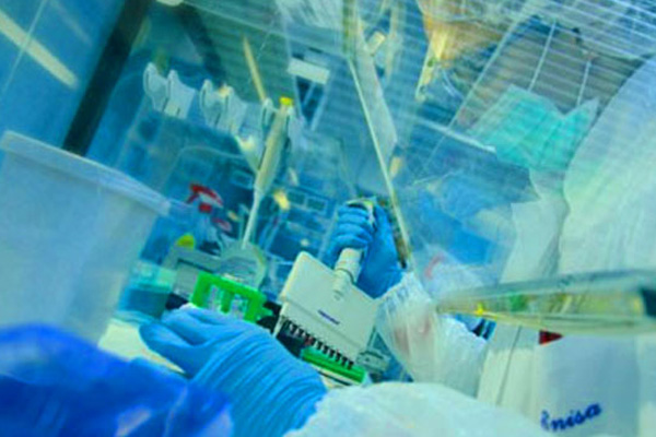 Adli Tıp'ta FETÖ operasyonu: 63 gözaltı