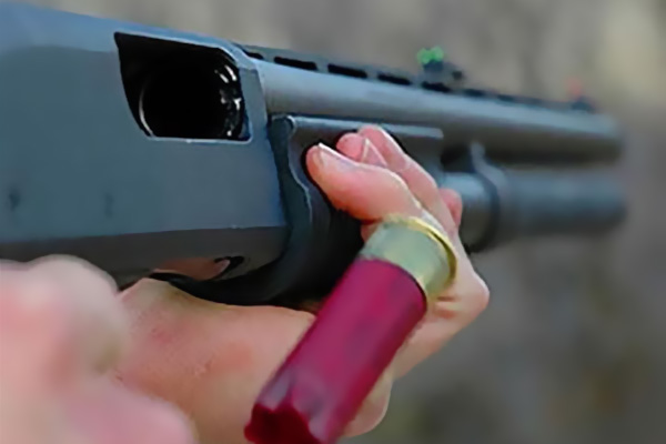 Valilik açıkladı: Ordu'da av tüfeği yasaklandı