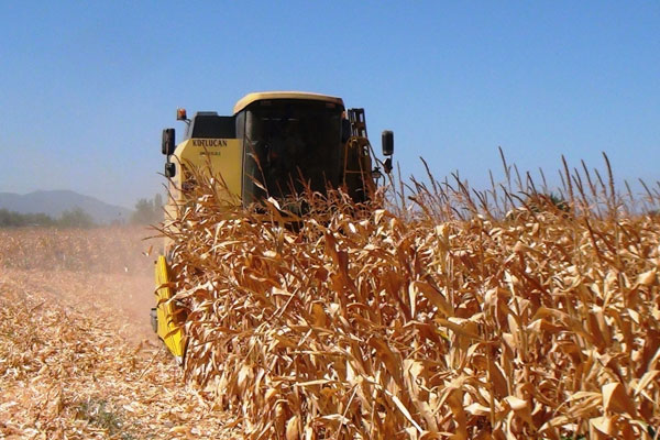 Tarımda istihdam 5.5 milyonu geçti