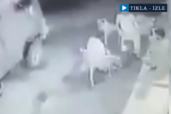 Kafedeki Filistinlilere bomba