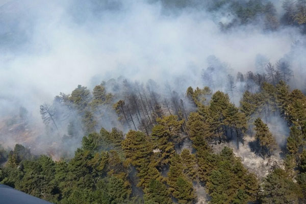 Çanakkale’de orman yangını