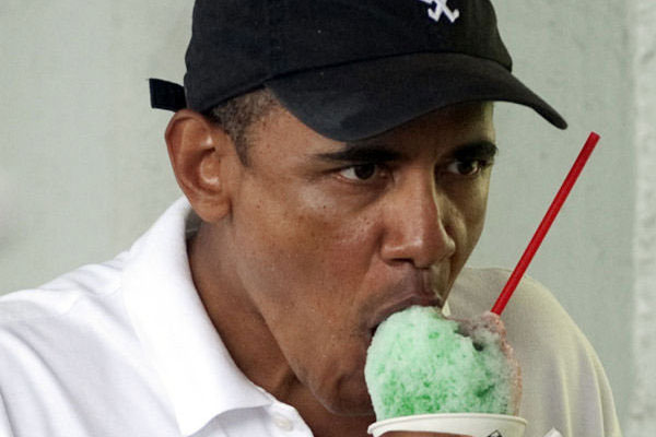 Obama'ya 'tatilini yarıda kes' çağrısı