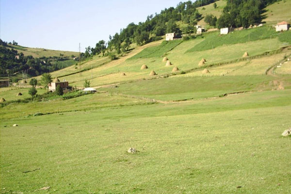 Ordu’da PKK ile çatışma çıktı
