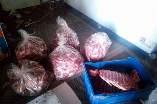 450 kilo domuz eti ele geçirildi