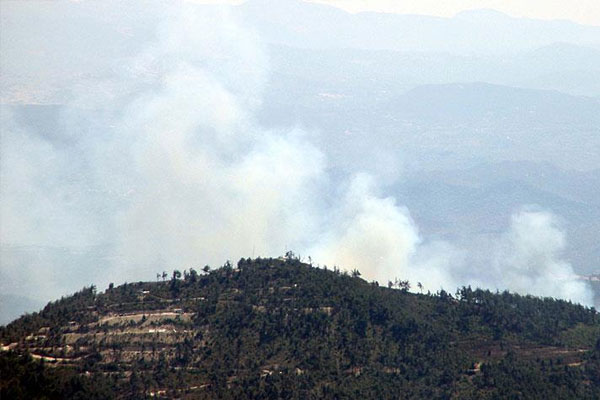 Orman yangını Yayladağı sınırına ulaştı