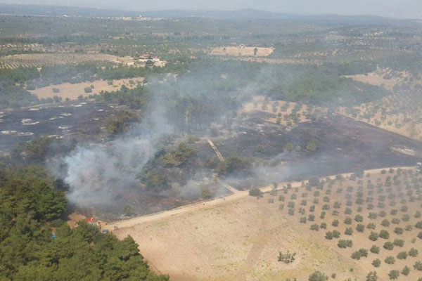Çanakkale’de orman yangını