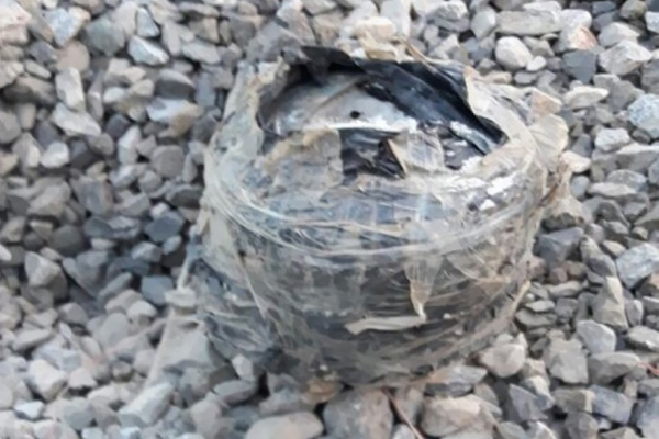 Bingöl'de facianın önüne geçildi