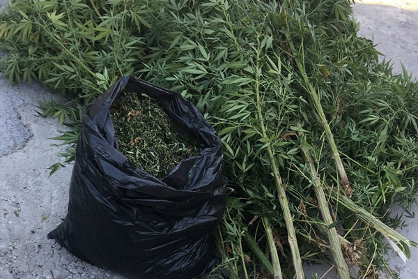 Adana’da uyuşturucu operasyonu: 25 gözaltı