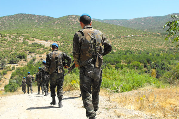 Bingöl'den acı haber: 1 şehit