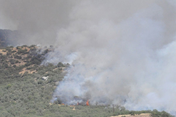 Tunceli’de orman yangınları