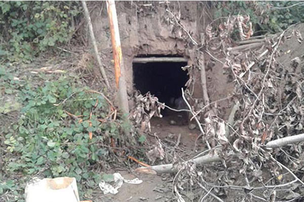 Adil Öksüz'ün arandığı yaylada sığınak bulundu