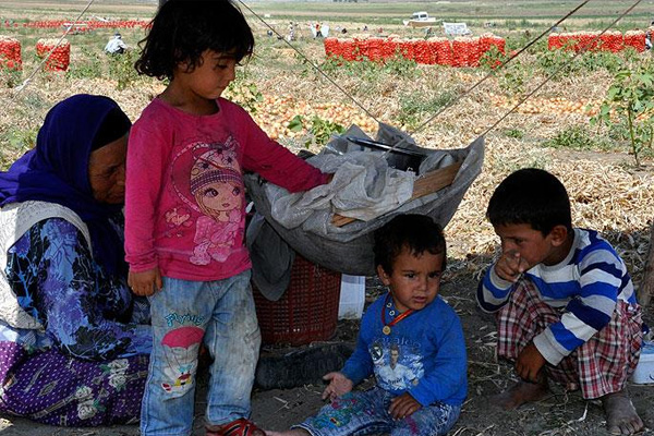 'Ekmek parası' için göçebe hayatı yaşıyorlar