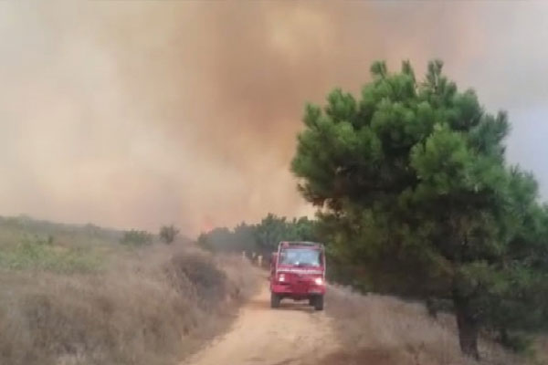 İstanbul'da orman yangını