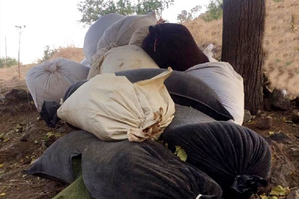 Diyarbakır’da PKK'ya uyuşturucu operasyonu