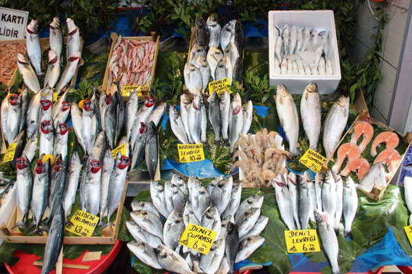 Avlanma yasağı kalkınca fiyatlar düştü