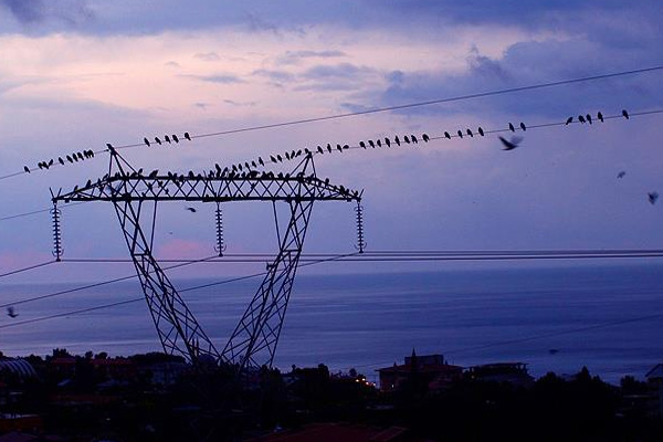 EPDK'dan 895 bin liralık 'göçmen kuş' bütçesi